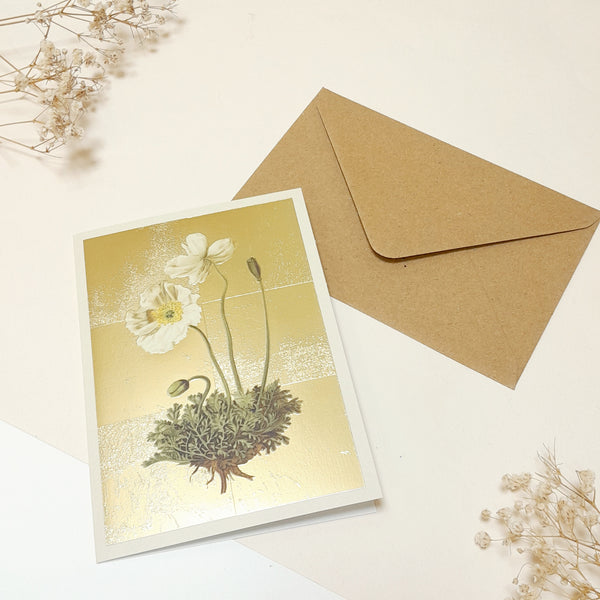 Carte de vœux -  Gold Anémone Alpine