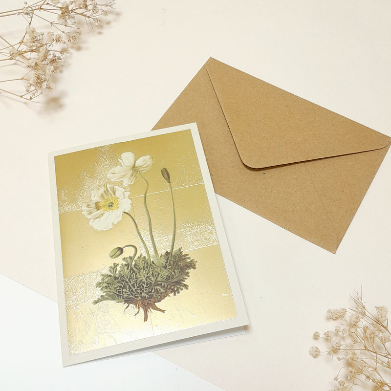 Carte de vœux -  Gold Anémone Alpine