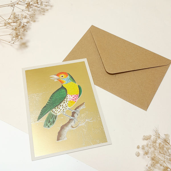 Carte de vœux - Gold Barbican à gorge citron